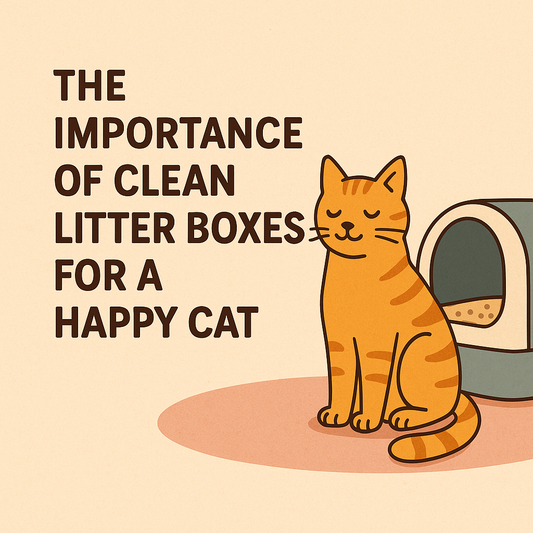 The Importance of Clean Litter Boxes for a Happy Cat 🧼🐱