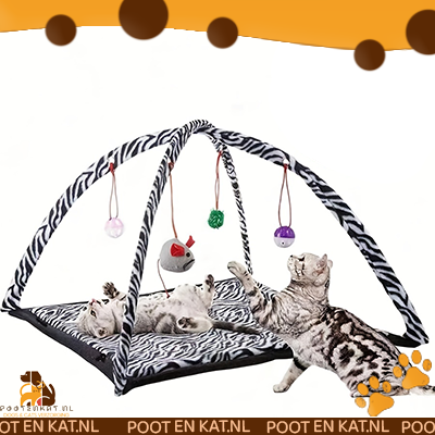 Interactive Play Mat
